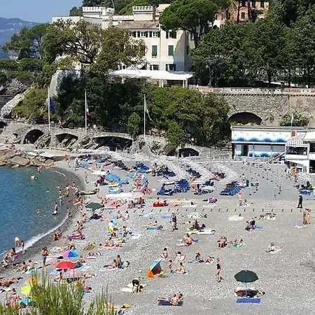 Voglia Di Mare - Desire For The Sea